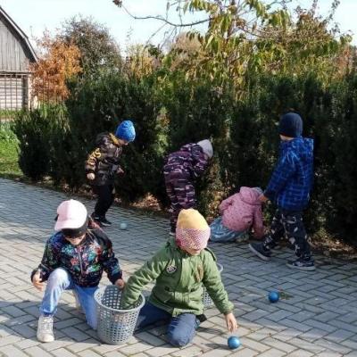 Познавательное занятие "Эх, яблочко!"
